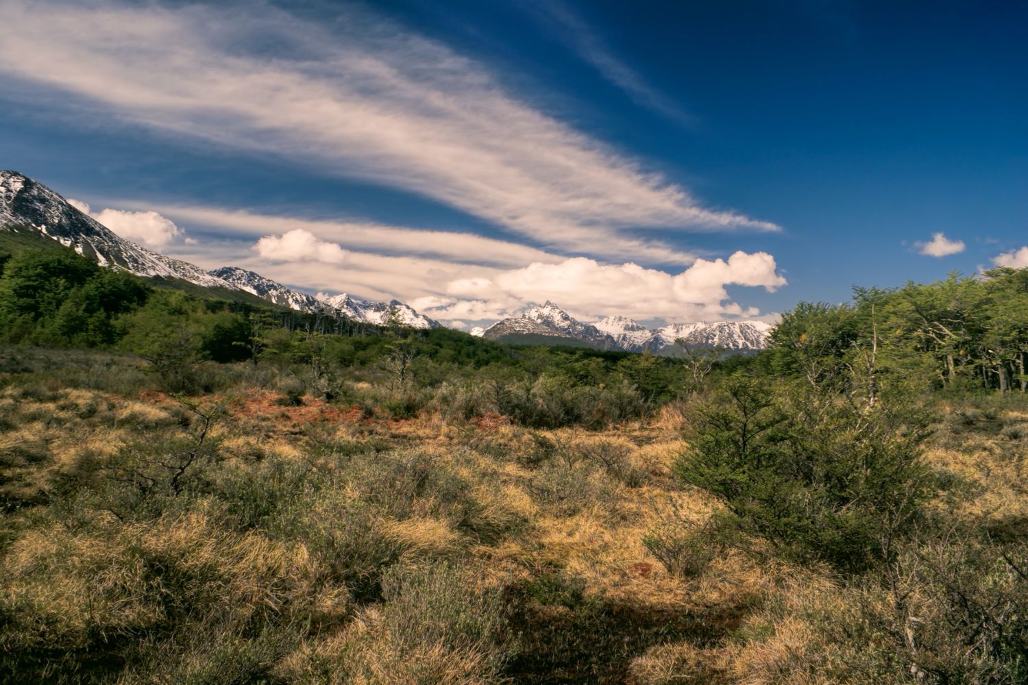 Cabalgata por Monte Susana (Centro hípico de Ushuaia)